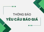 Y cầu báo giá 29 7